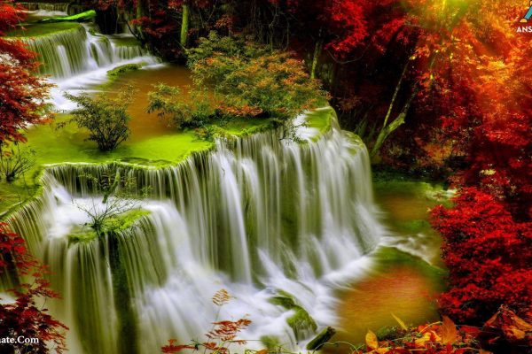 amgbahisim para çekme görseli