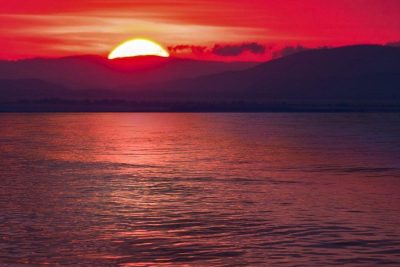 amgbahisim canlı bahis görseli